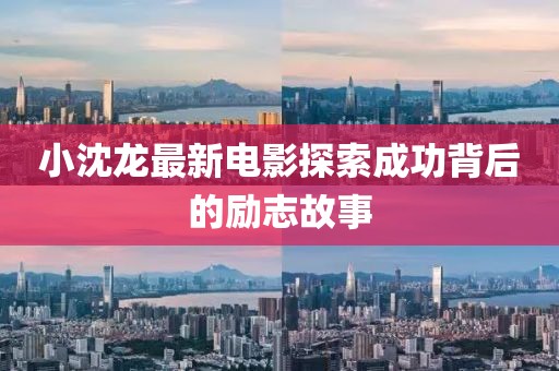 小沈龍最新電影探索成功背后的勵(lì)志故事