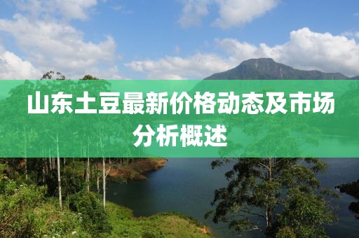 山東土豆最新價(jià)格動(dòng)態(tài)及市場(chǎng)分析概述