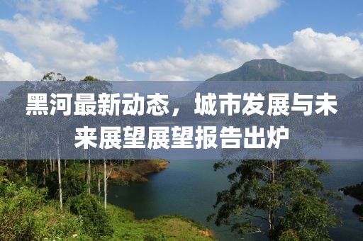 黑河最新動(dòng)態(tài)，城市發(fā)展與未來展望展望報(bào)告出爐