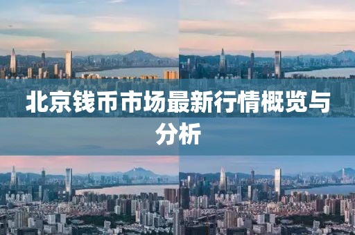 北京錢幣市場最新行情概覽與分析