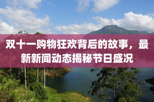 雙十一購物狂歡背后的故事，最新新聞動(dòng)態(tài)揭秘節(jié)日盛況