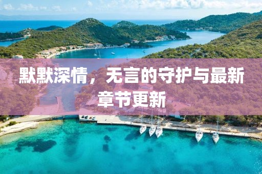 默默深情，無言的守護(hù)與最新章節(jié)更新