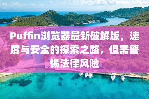 Puffin瀏覽器最新破解版，速度與安全的探索之路，但需警惕法律風險