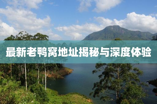 最新老鴨窩地址揭秘與深度體驗(yàn)