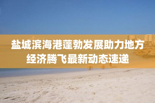 鹽城濱海港蓬勃發(fā)展助力地方經(jīng)濟(jì)騰飛最新動(dòng)態(tài)速遞