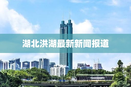 湖北洪湖最新新聞報道