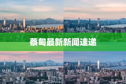 蔡甸最新新聞速遞