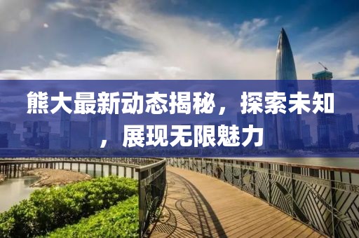 熊大最新動(dòng)態(tài)揭秘，探索未知，展現(xiàn)無限魅力