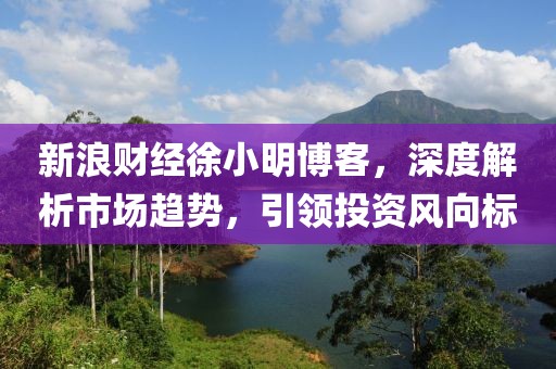新浪財經(jīng)徐小明博客，深度解析市場趨勢，引領(lǐng)投資風(fēng)向標(biāo)