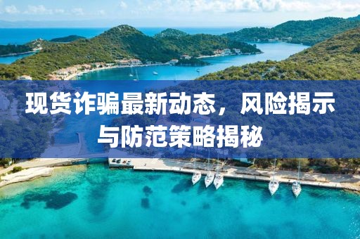 現(xiàn)貨詐騙最新動態(tài)，風(fēng)險(xiǎn)揭示與防范策略揭秘