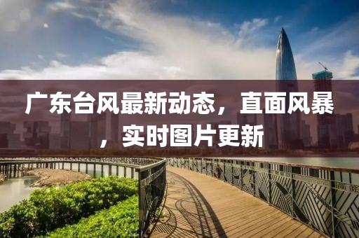 廣東臺(tái)風(fēng)最新動(dòng)態(tài)，直面風(fēng)暴，實(shí)時(shí)圖片更新