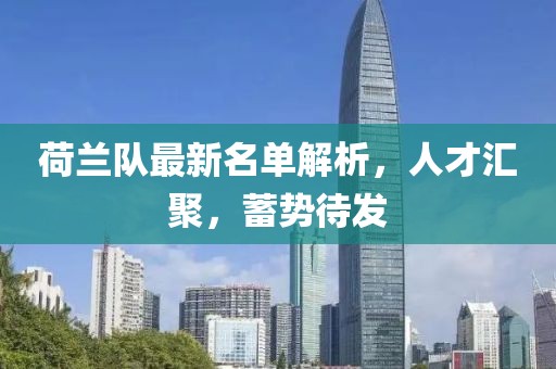 荷蘭隊(duì)最新名單解析，人才匯聚，蓄勢待發(fā)