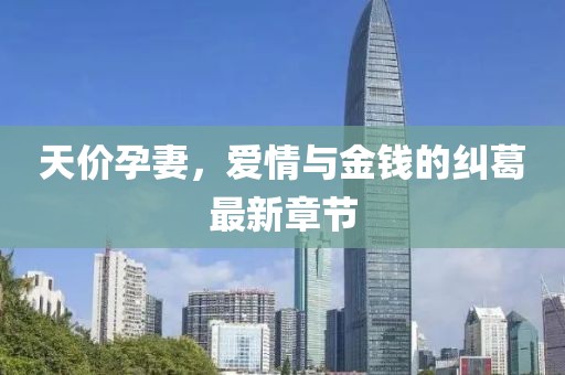 天價孕妻，愛情與金錢的糾葛最新章節(jié)