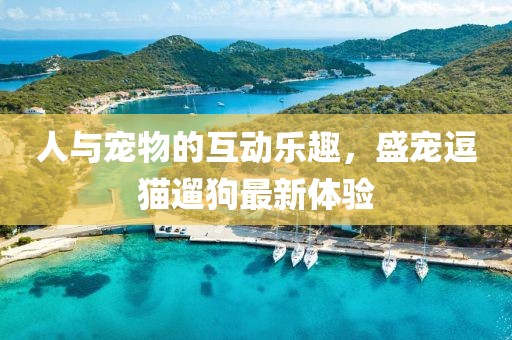 人與寵物的互動(dòng)樂趣，盛寵逗貓遛狗最新體驗(yàn)