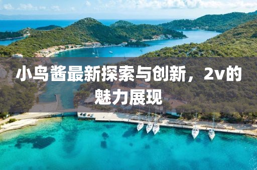 小鳥醬最新探索與創(chuàng)新，2v的魅力展現(xiàn)