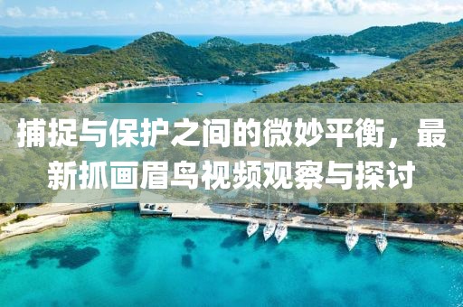 捕捉與保護(hù)之間的微妙平衡，最新抓畫眉鳥視頻觀察與探討