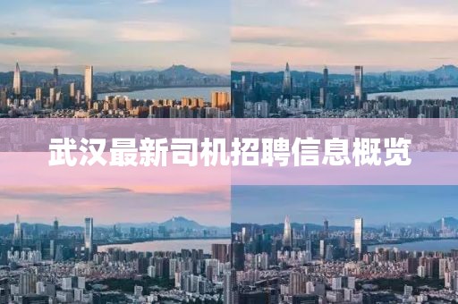 武漢最新司機(jī)招聘信息概覽