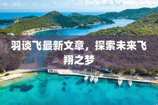 羽談飛最新文章，探索未來飛翔之夢(mèng)