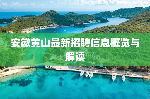 安徽黃山最新招聘信息概覽與解讀