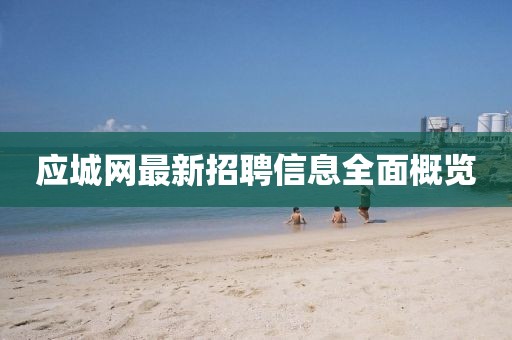 應(yīng)城網(wǎng)最新招聘信息全面概覽