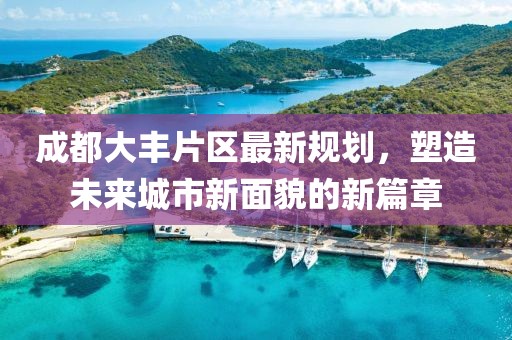 成都大豐片區(qū)最新規(guī)劃，塑造未來(lái)城市新面貌的新篇章