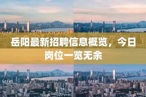 岳陽(yáng)最新招聘信息概覽，今日崗位一覽無(wú)余