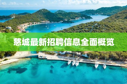 慈城最新招聘信息全面概覽