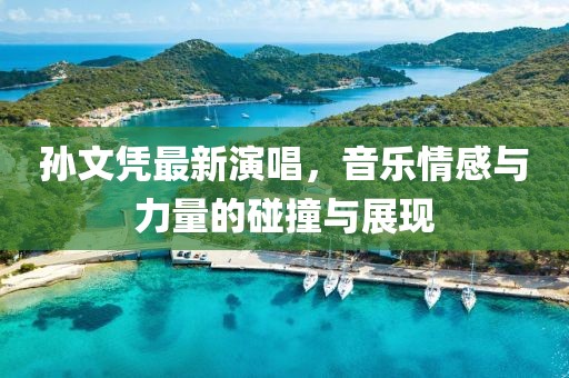 孫文憑最新演唱，音樂情感與力量的碰撞與展現(xiàn)