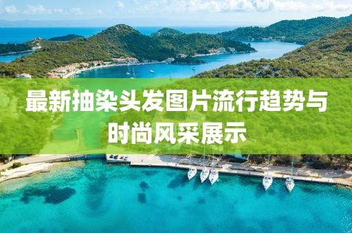 最新抽染頭發(fā)圖片流行趨勢與時尚風(fēng)采展示