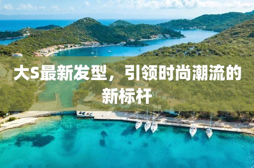 大S最新發(fā)型，引領(lǐng)時尚潮流的新標(biāo)桿