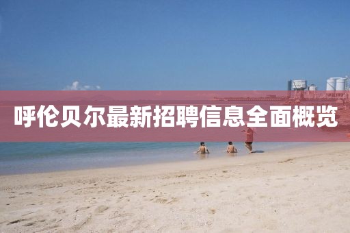呼倫貝爾最新招聘信息全面概覽