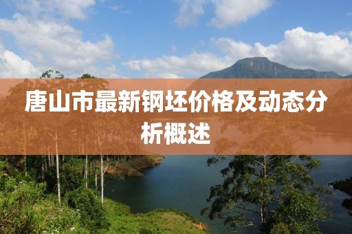 唐山市最新鋼坯價(jià)格及動態(tài)分析概述