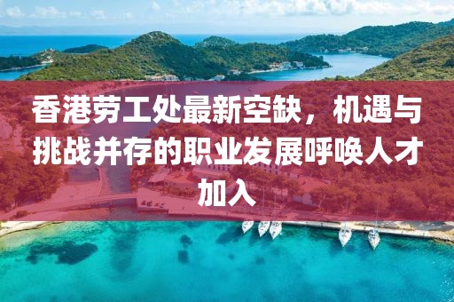 香港勞工處最新空缺，機(jī)遇與挑戰(zhàn)并存的職業(yè)發(fā)展呼喚人才加入
