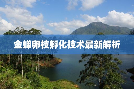 金蟬卵枝孵化技術(shù)最新解析