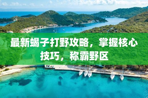 最新蝎子打野攻略，掌握核心技巧，稱霸野區(qū)