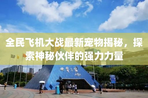全民飛機(jī)大戰(zhàn)最新寵物揭秘，探索神秘伙伴的強(qiáng)力力量