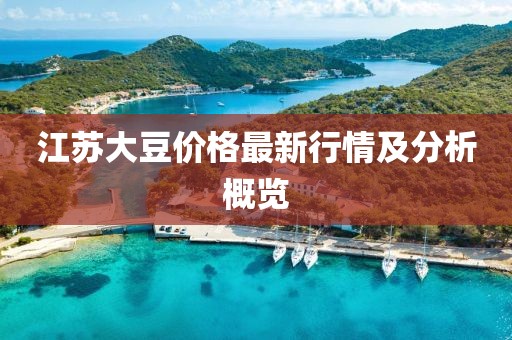 江蘇大豆價格最新行情及分析概覽
