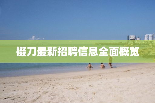 漏刀怪 第13頁(yè)