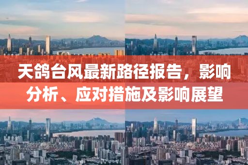 天鴿臺風(fēng)最新路徑報告，影響分析、應(yīng)對措施及影響展望