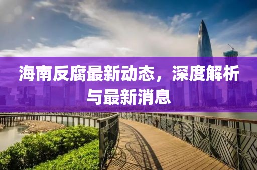 海南反腐最新動(dòng)態(tài)，深度解析與最新消息