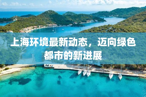 上海環(huán)境最新動態(tài)，邁向綠色都市的新進展