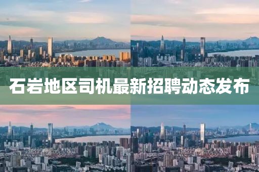 石巖地區(qū)司機最新招聘動態(tài)發(fā)布