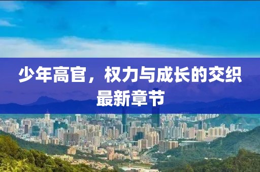 少年高官，權(quán)力與成長(zhǎng)的交織最新章節(jié)