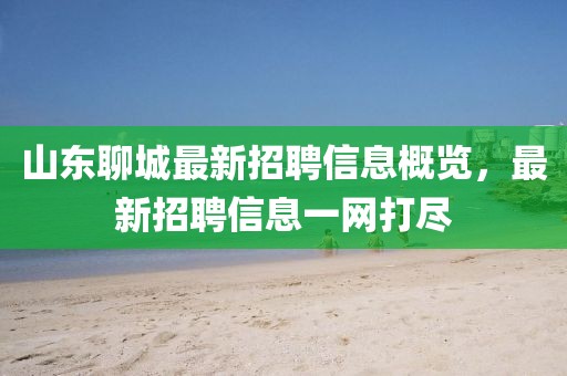 山東聊城最新招聘信息概覽，最新招聘信息一網(wǎng)打盡