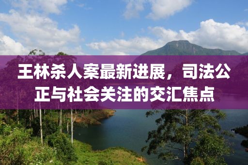 王林殺人案最新進(jìn)展，司法公正與社會(huì)關(guān)注的交匯焦點(diǎn)