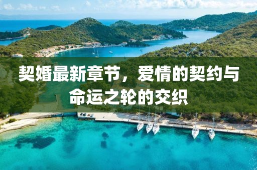 契婚最新章節(jié)，愛情的契約與命運之輪的交織