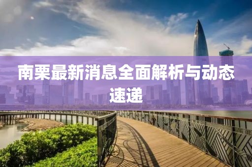 南栗最新消息全面解析與動態(tài)速遞