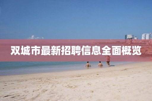 雙城市最新招聘信息全面概覽