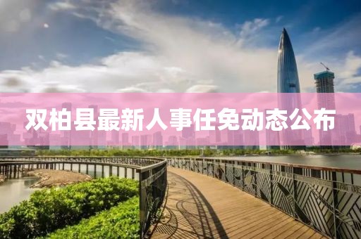 雙柏縣最新人事任免動(dòng)態(tài)公布