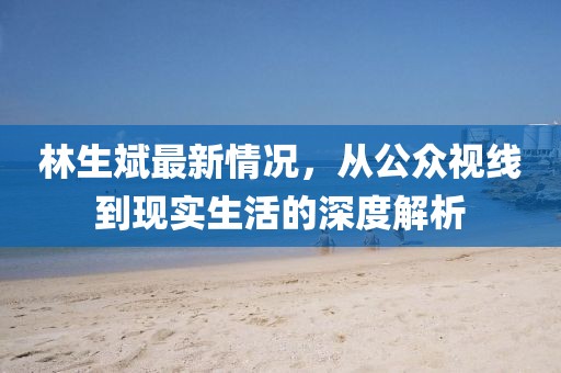 林生斌最新情況，從公眾視線到現(xiàn)實(shí)生活的深度解析